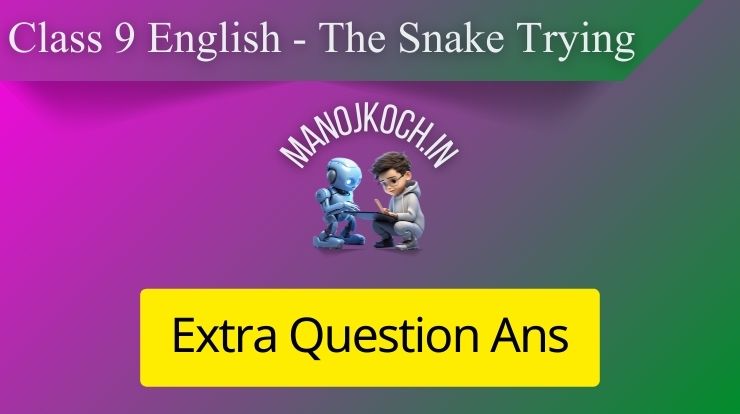 The Snake Trying Extra Answer Questions